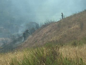 Un incendio en el Algarve quema 9.000 hectáreas, obliga a evacuar a 81 personas y corta la autopista con España