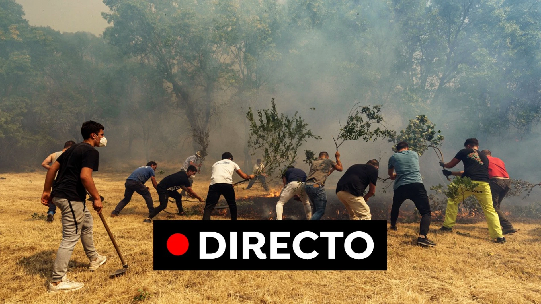 Incendio Ávila hoy: Última hora de Navalacruz y el avance del fuego por el incendio forestal