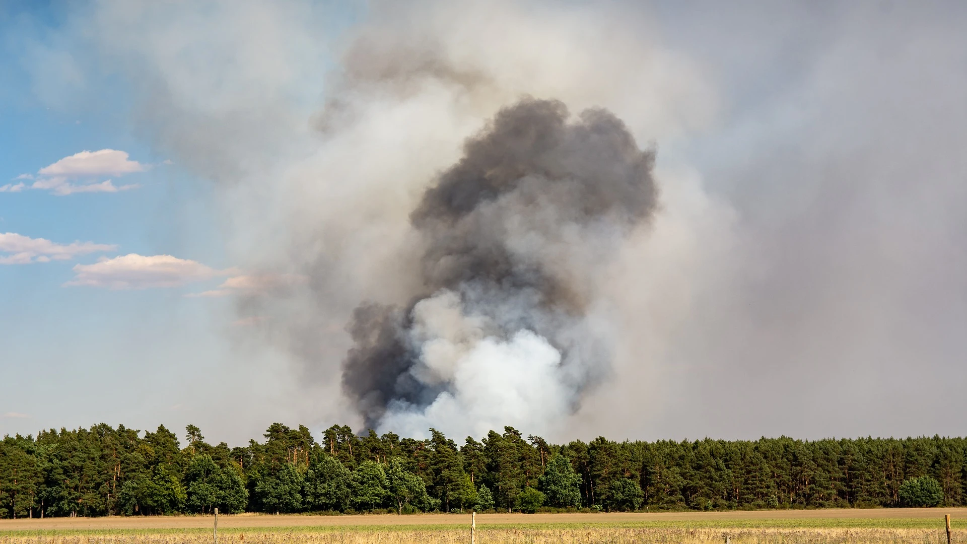 Preocupaci&oacute;n por un incendio con cinco focos en San Felices de los Gallegos, en Salamanca