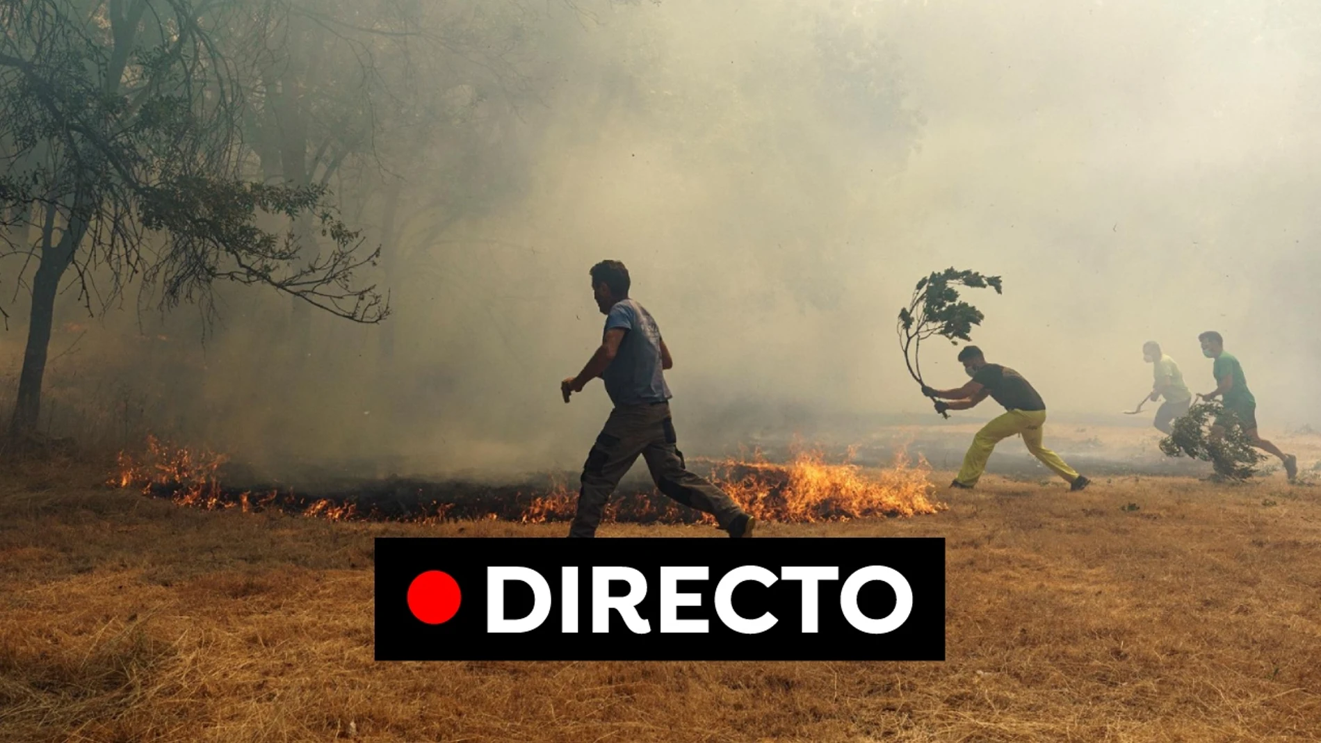 Incendio Ávila: Última hora del fuego y las tareas de extinción en Navalacruz, en directo