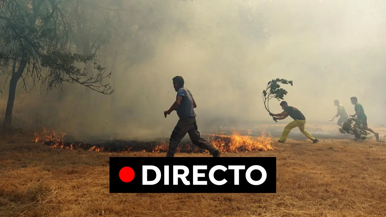 Incendio &Aacute;vila: &Uacute;ltima hora del fuego y las tareas de extinci&oacute;n en Navalacruz, en directo