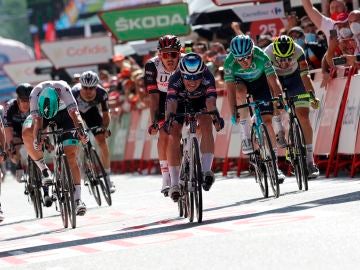 Philipsen gana la quinta etapa al sprint y Taaramae pierde el liderato de la Vuelta a España tras una caída masiva