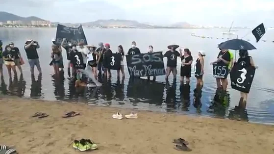 Ecologistas denuncia nuevas muertes de peces en playas del Mar Menor