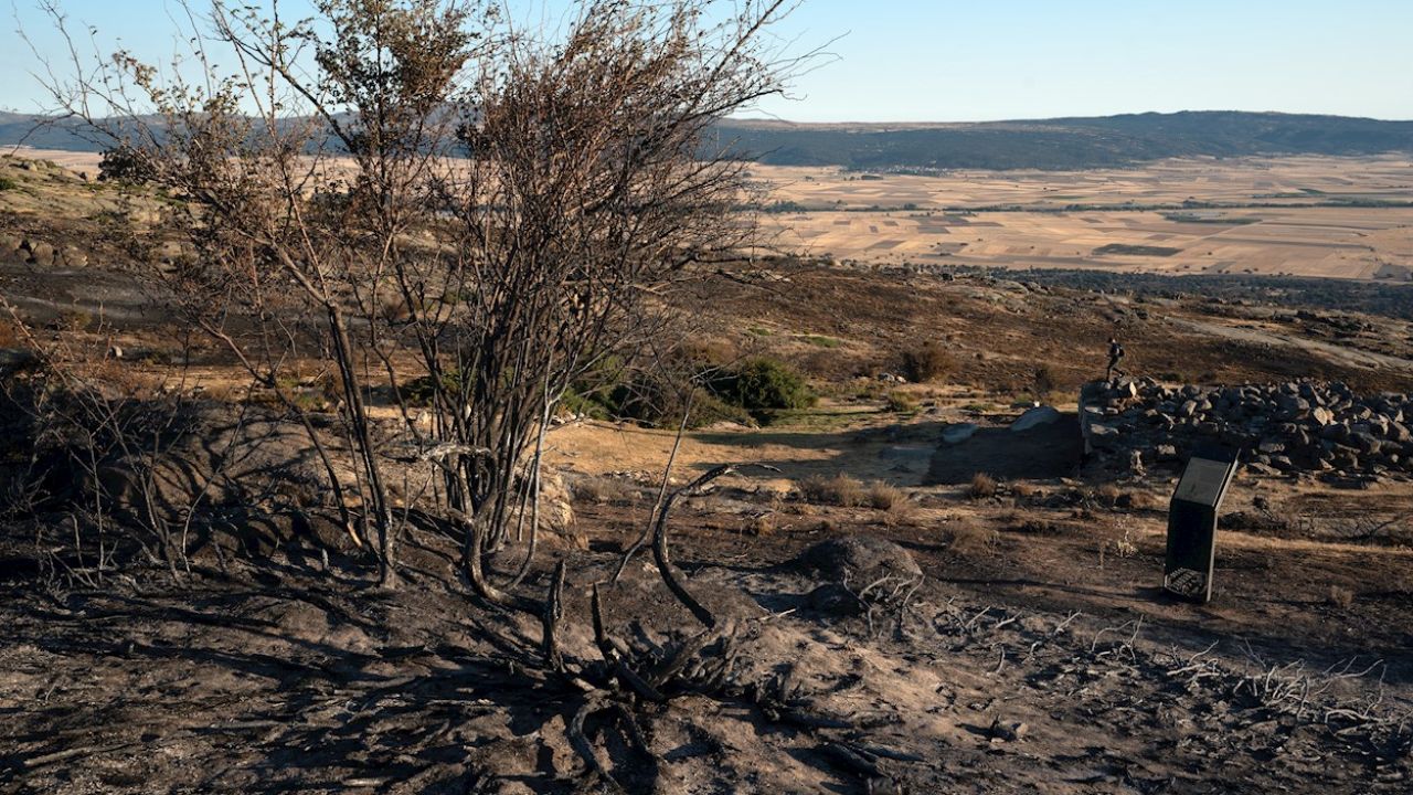 Organizaciones ecologistas urgen a Castilla y León a restaurar la zona calcinada en el incendio de Ávila - Vimarsana News