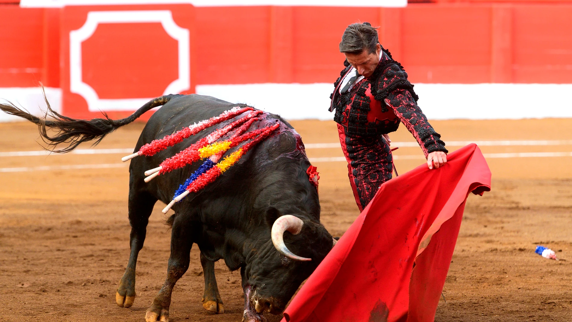 Gijón prohíbe las corridas de toros en la ciudad tras sacrificar a dos morlacos de nombre &#39;Feminista&#39; y &#39;Nigeriano&#39;