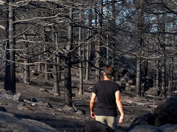 Dan por extinguido el incendio de Navalacruz, Ávila Dan por extinguido el incendio de Navalacruz, Ávila
