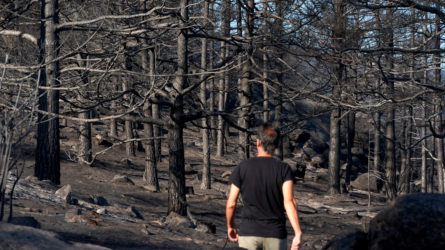 Dan por extinguido el incendio de Navalacruz, Ávila Dan por extinguido el incendio de Navalacruz, Ávila