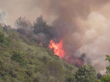 Controlado un incendio que ha quemado 125 hectáreas en Ezcaray, La Rioja