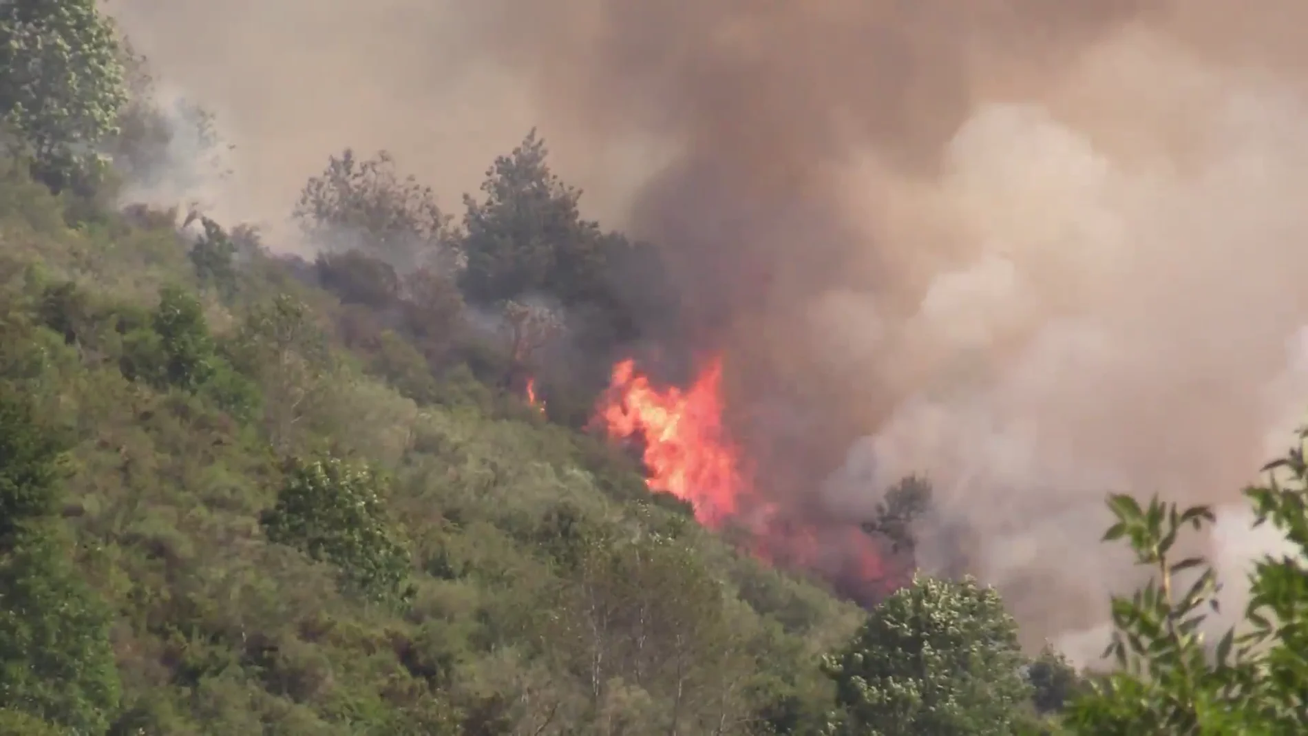 Controlado un incendio que ha quemado 125 hectáreas en Ezcaray, La Rioja