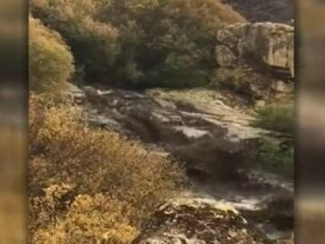 Río en sierra de Ávila