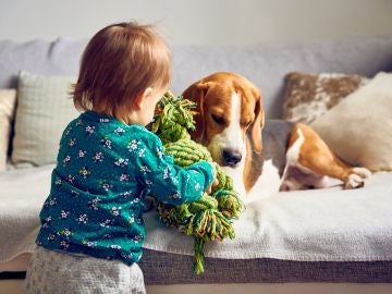 Niño con juguete para perro