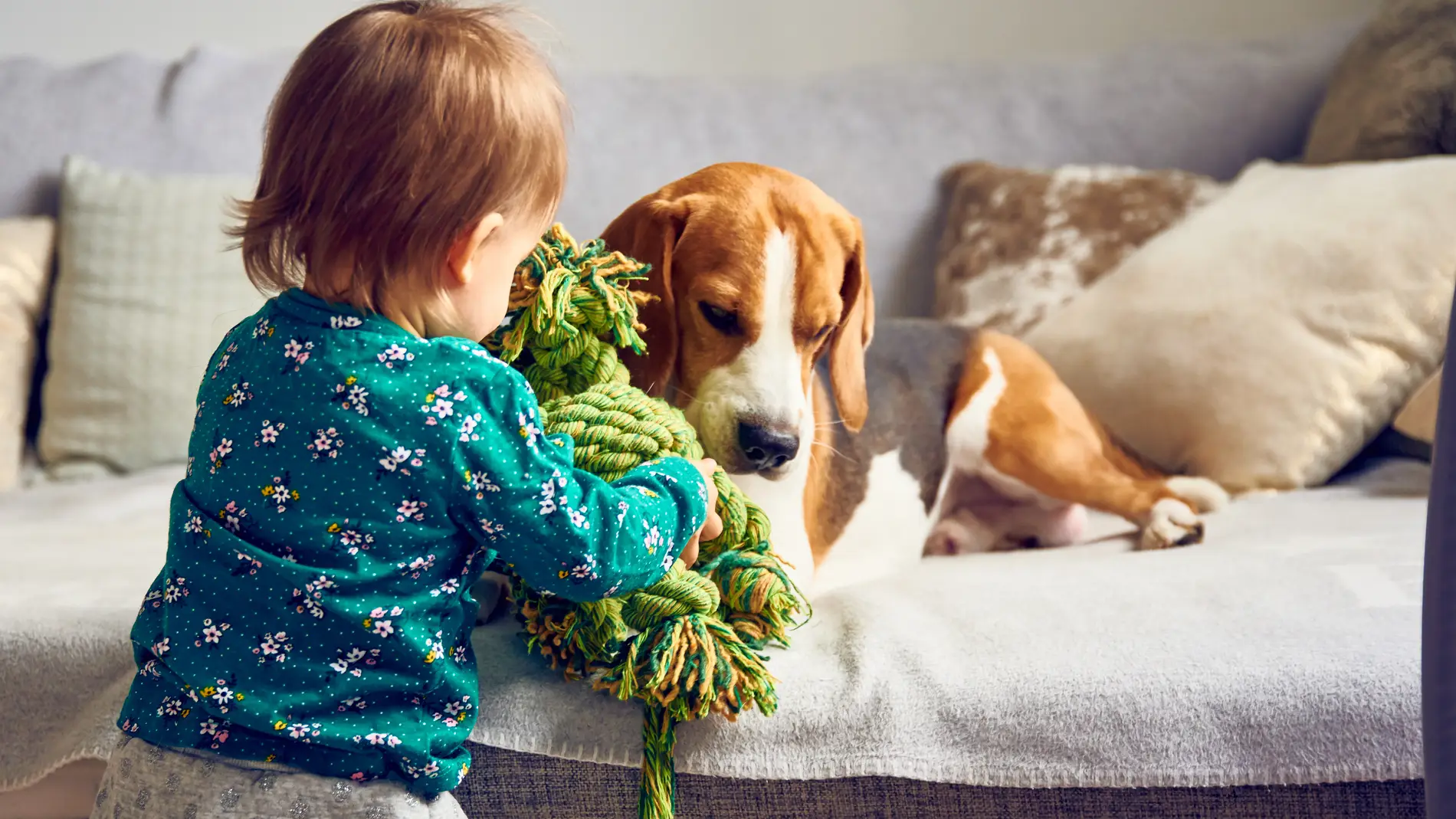 Niño con juguete para perro