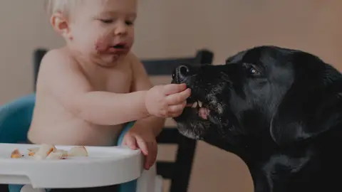 Niño dando de comer a un perro Niño dando de comer a un perro