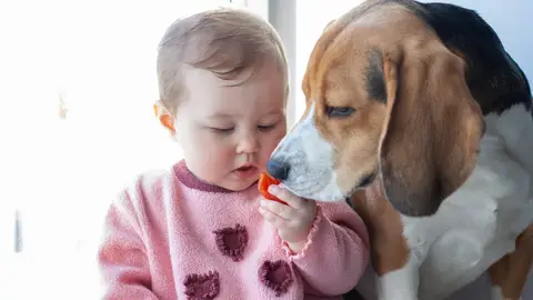 Niña pequeña con perro Niña pequeña con perro