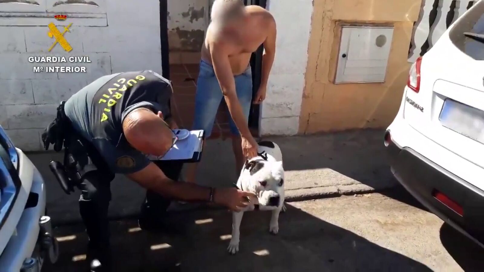 Detenidas dos personas por maltrato animal y estafa en una supuesta residencia canina de Madrid