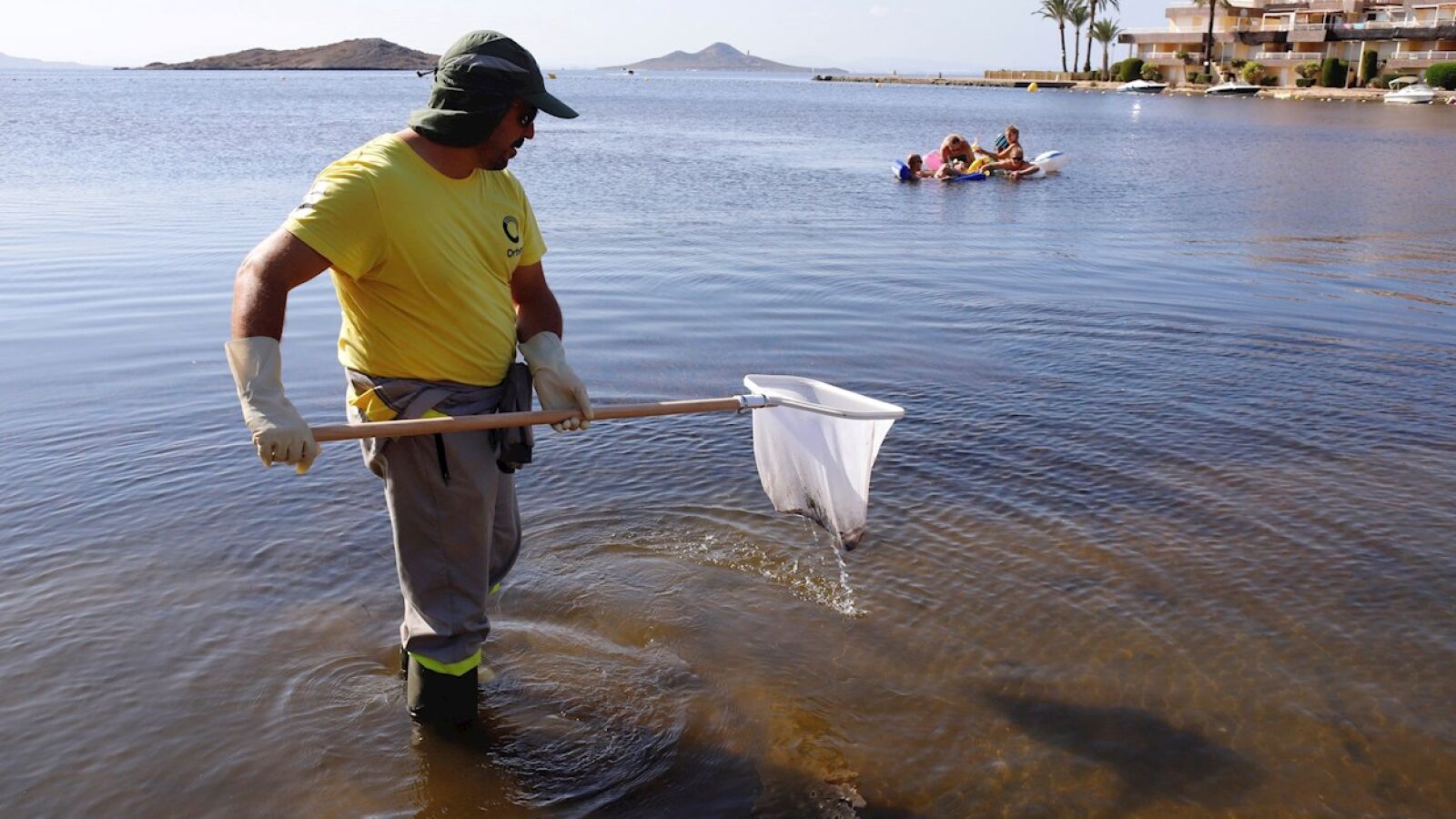 Los consumidores muestran su desconfianza a la hora de comprar pescado del Mar Menor