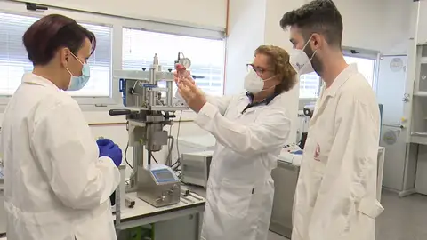 Universidad de Murcia Universidad de Murcia