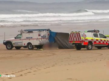 Muere un surfista en Australia tras se atacado por un tiburón