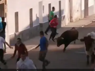 Un pueblo de Toledo el primero en celebrar los encierros postpandemia Un pueblo de Toledo el primero en celebrar los encierros postpandemia