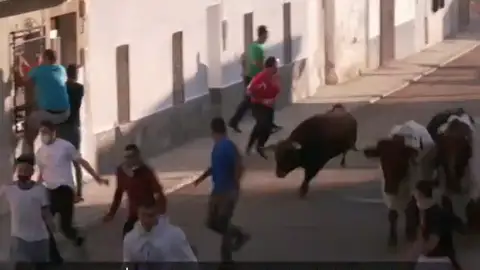 Un pueblo de Toledo el primero en celebrar los encierros postpandemia Un pueblo de Toledo el primero en celebrar los encierros postpandemia