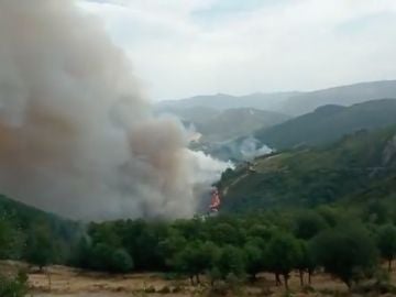 Incendio en Ribera de Sil 