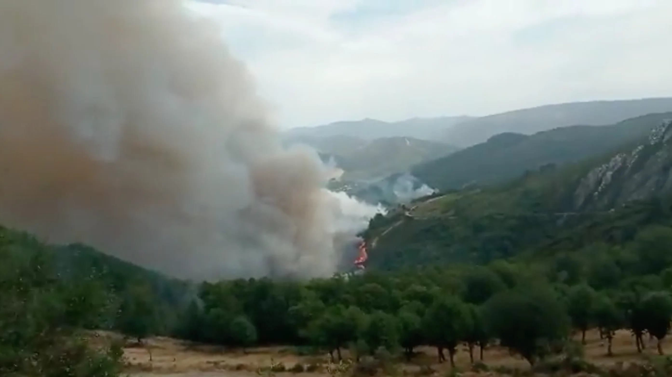 Incendio en Ribera de Sil Incendio en Ribera de Sil