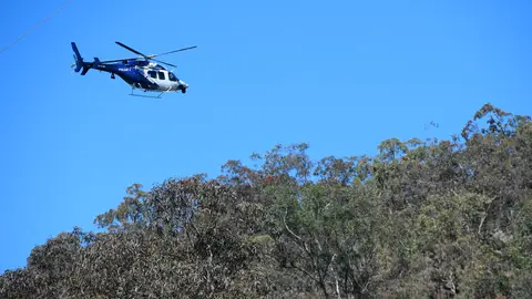 Rescatan a niño de 3 años tras 4 días desaparecido en un bosque de Australia Rescatan a niño de 3 años tras 4 días desaparecido en un bosque de Australia