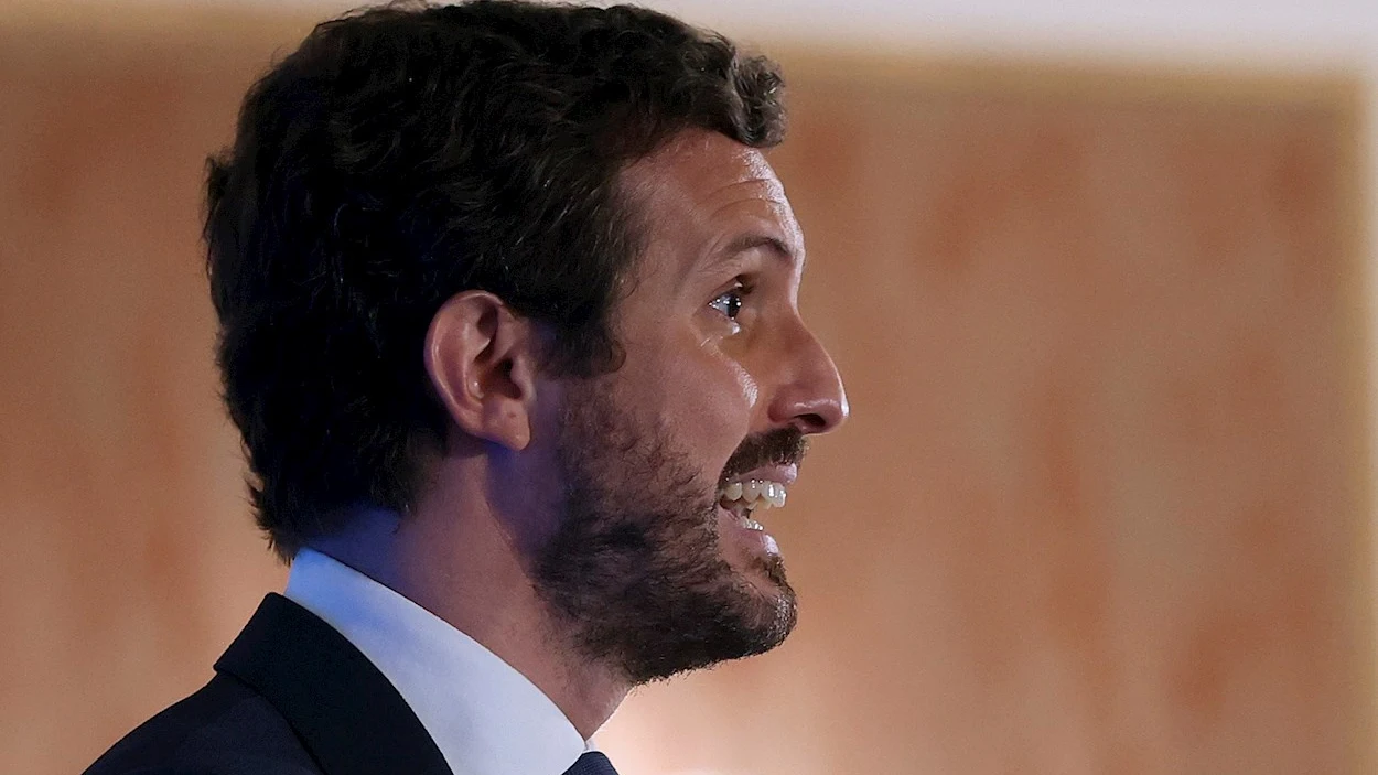 Pablo Casado anuncia que el PP registrará una medida parlamentaria "para abaratar un 20% el precio de la luz" Pablo Casado anuncia que el PP registrará una medida parlamentaria "para abaratar un 20% el precio de la luz"