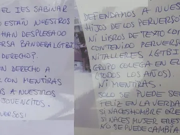 Ataques al IES Sabinar en Roquetas de Mar por exhibir la bandera LGTBI Ataques al IES Sabinar en Roquetas de Mar por exhibir la bandera LGTBI
