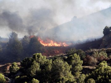 Más de 400 desalojados en el incendio de Sierra Bermeja