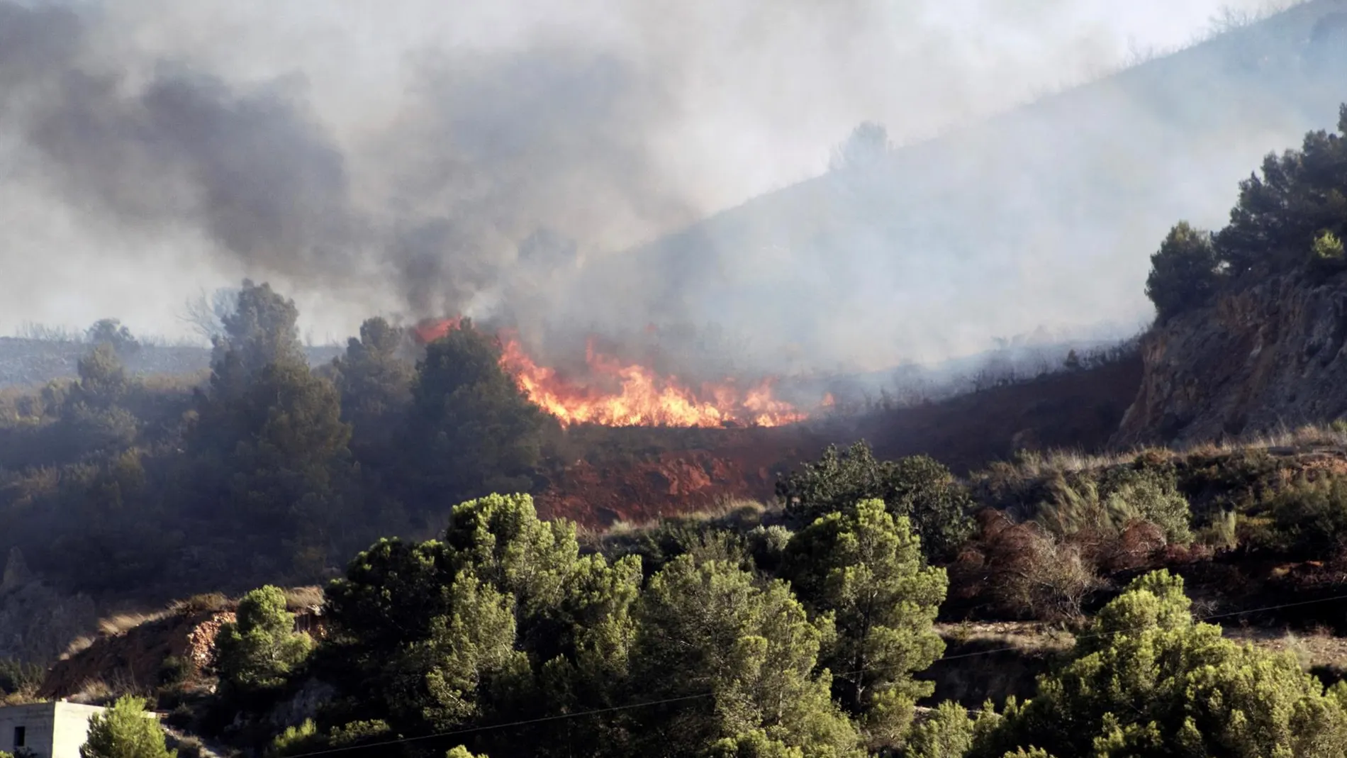 Más de 400 desalojados en el incendio de Sierra Bermeja