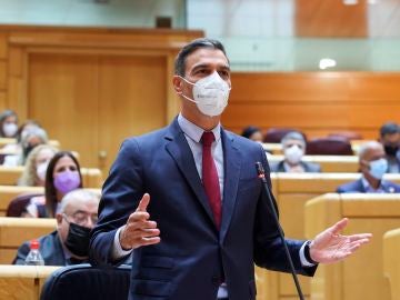 Pedro Sánchez en la sesión control del Gobierno en el Senado