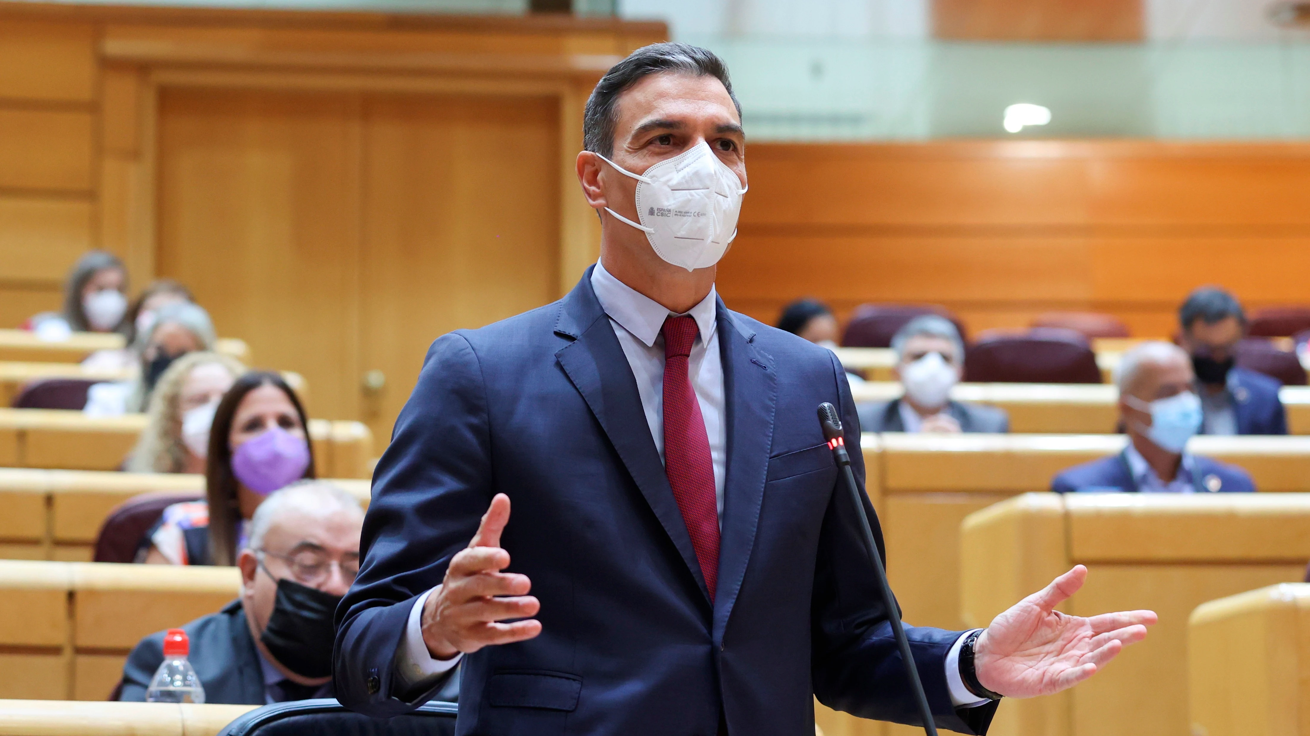 Pedro S&aacute;nchez en la sesi&oacute;n control del Gobierno en el Senado