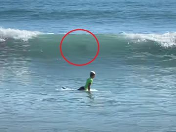 El momento en que un par de tiburones siembran el pánico en un campeonato junior de surf en Estados Unidos