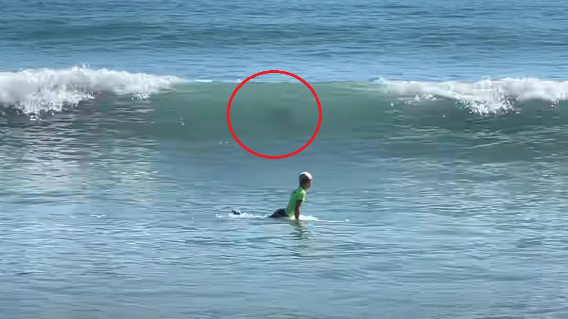 El momento en que un par de tiburones siembran el pánico en un campeonato junior de surf en Estados Unidos