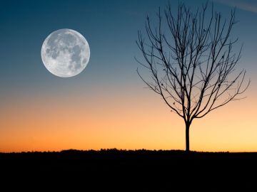 Hoy hay luna llena, ¿desde dónde y a qué hora es mejor observarla en España?