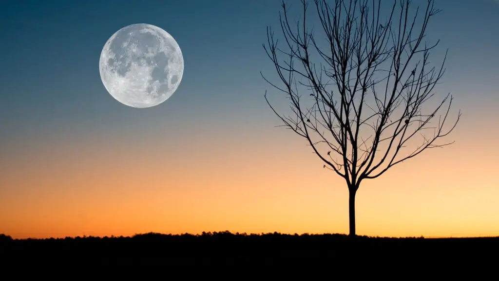 Hoy hay luna llena, ¿desde dónde y a qué hora es mejor observarla en España? Hoy hay luna llena, ¿desde dónde y a qué hora es mejor observarla en España?