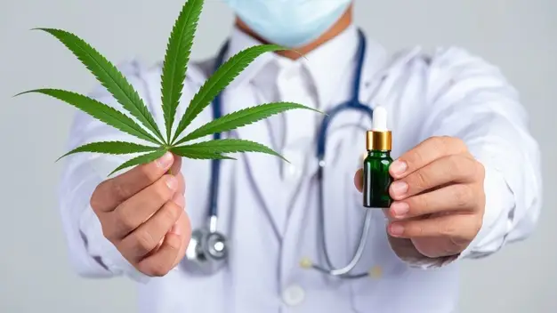 El primer medicamento hecho exclusivamente a base de cannabis ya se vende en Espa&ntilde;a