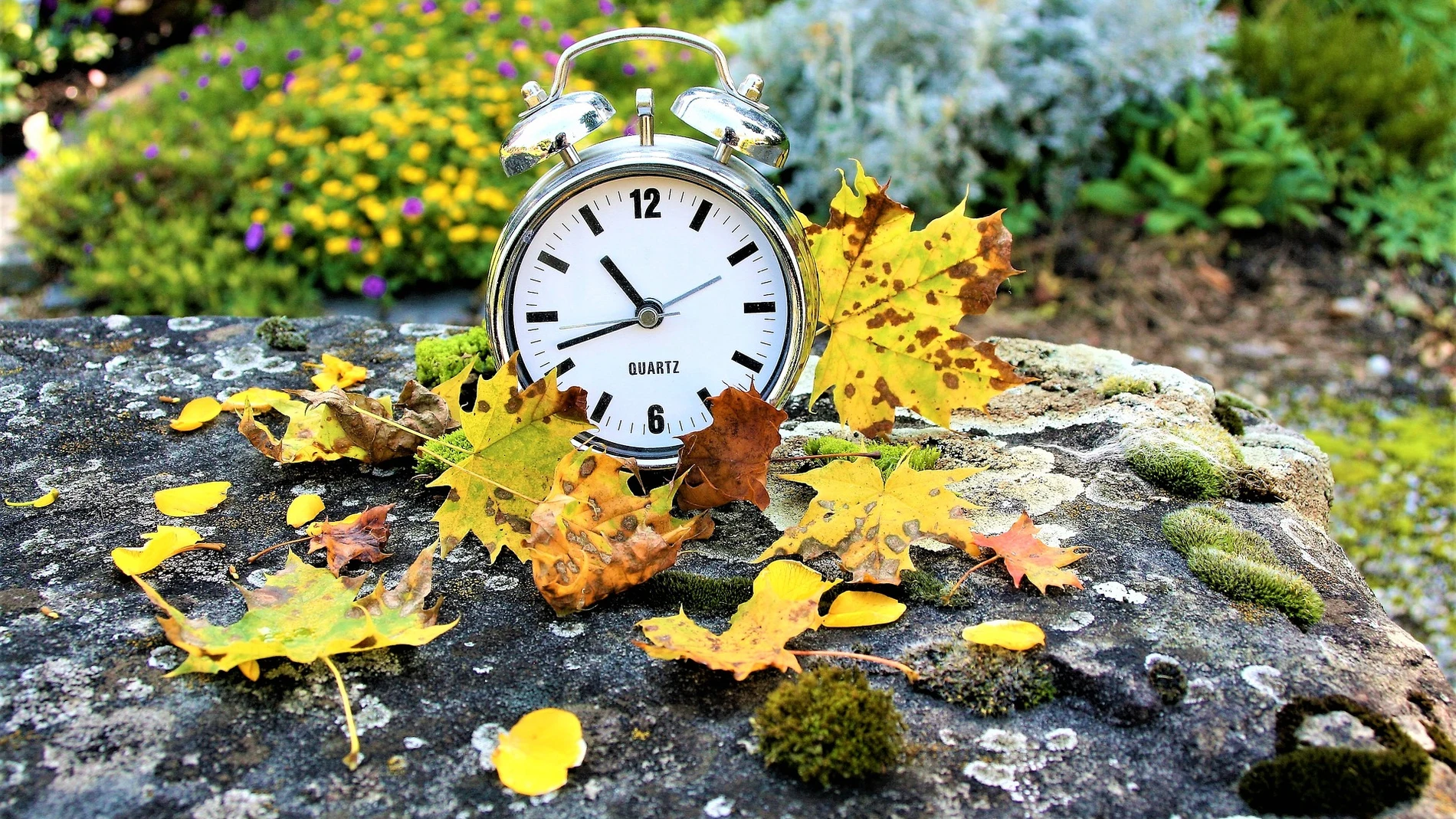  ¿Cuándo será el próximo cambio de hora en otoño?