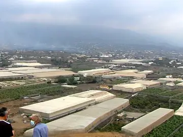 La erupción volcán en La Palma amenaza el Plátano de Canarias La erupción volcán en La Palma amenaza el Plátano de Canarias