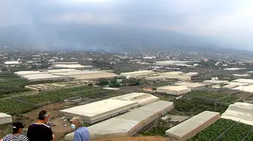 La erupción volcán en La Palma amenaza el Plátano de Canarias La erupción volcán en La Palma amenaza el Plátano de Canarias