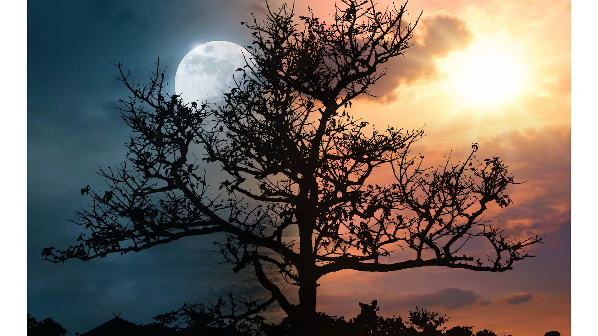 Cuánto dura el día y la noche durante el equinoccio de otoño Cuánto dura el día y la noche durante el equinoccio de otoño