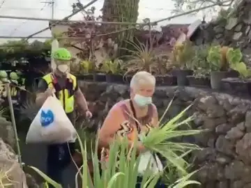 La erupción del volcán en La Palma afecta ya a entre 300 y 400 explotaciones agrícolas, especialmente de plátano La erupción del volcán en La Palma afecta ya a entre 300 y 400 explotaciones agrícolas, especialmente de plátano