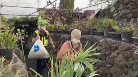 La erupción del volcán en La Palma afecta ya a entre 300 y 400 explotaciones agrícolas, especialmente de plátano La erupción del volcán en La Palma afecta ya a entre 300 y 400 explotaciones agrícolas, especialmente de plátano