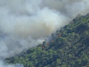 El Gobierno declara zona catastrófica los territorios afectados por el incendio en Sierra Bermeja