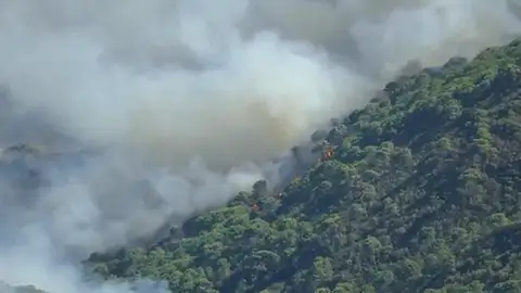 El Gobierno declara zona catastrófica los territorios afectados por el incendio en Sierra Bermeja El Gobierno declara zona catastrófica los territorios afectados por el incendio en Sierra Bermeja