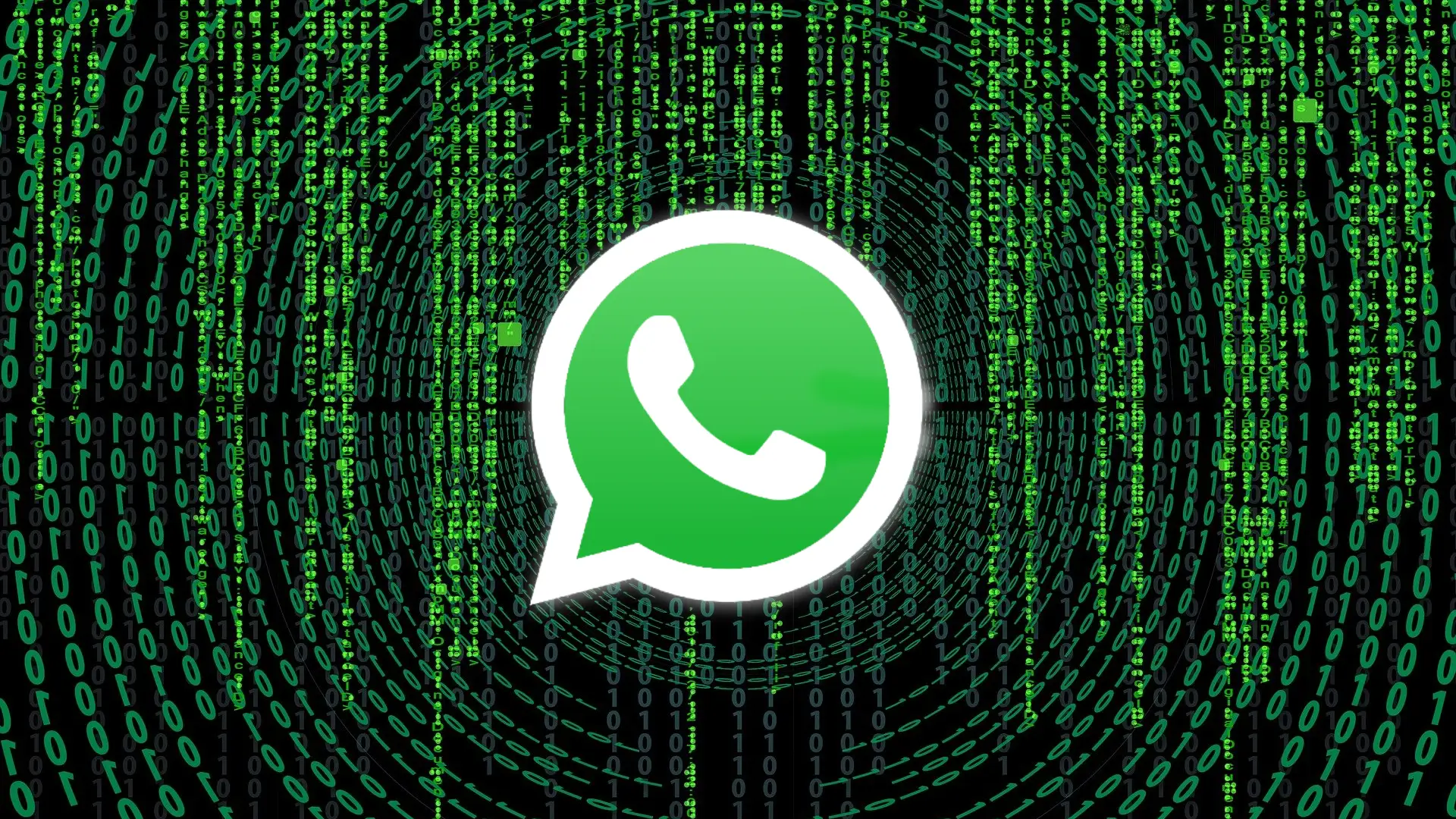 Si has recibido este correo electr&oacute;nico, no es "una copia de seguridad de WhatsApp" es una estafa