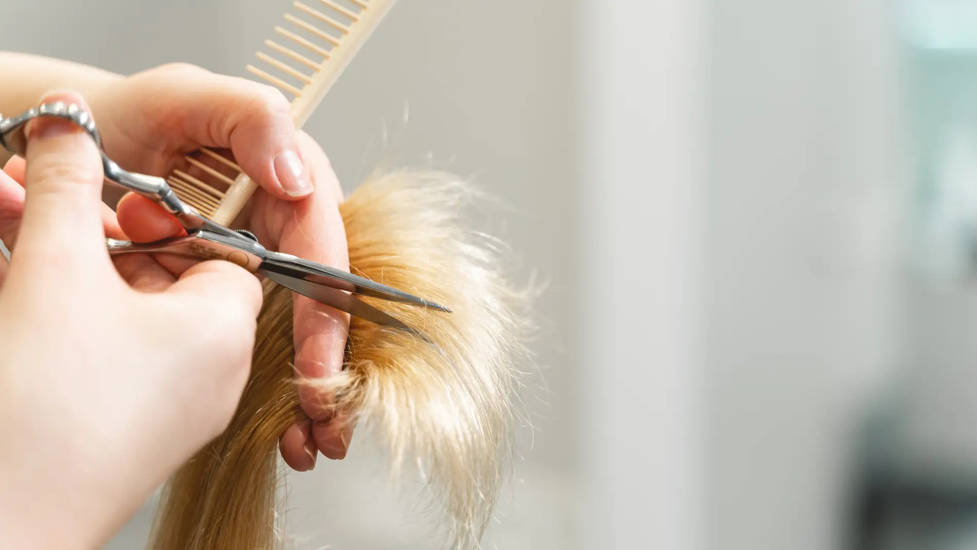 Profesional cortando el cabello