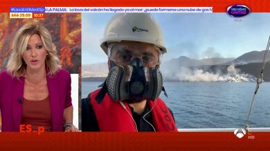 El ecosistema marino de La Palma será más productivo tras la entrada de la lava del volcán