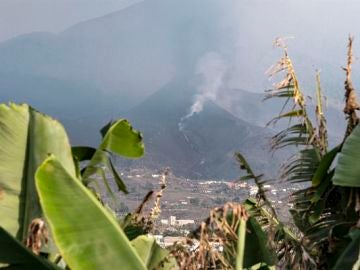 ¿Se podrá cultivar en el 'malpaís' que genera la lava del volcán de La Palma? Así quedará la isla tras la erupción